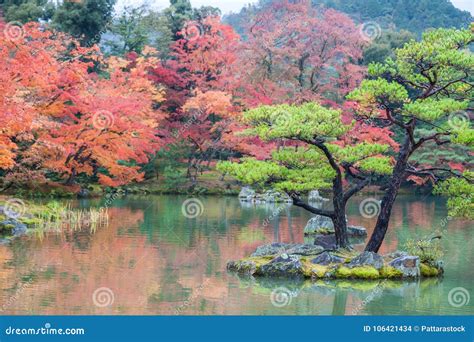 Colorful Autumn Leaves at Japanese Garden in Kyoto, Japan. Stock Photo ...