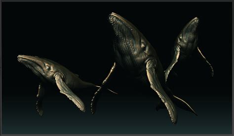 Humpback Whale(wip) - ZBrushCentral