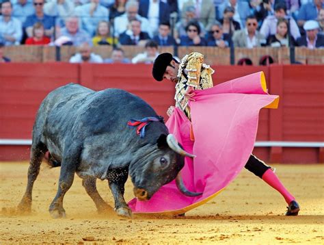 Bullfighting Archives - Spain Traveller