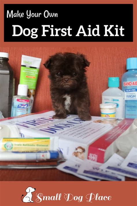 Canine First Aid Kit: What to Include