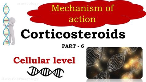 Corticosteroids Mechanism Of Action