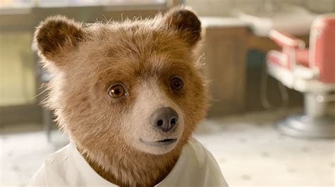 'Paddington 3': Release date, trailer, cast and everything we know about 'Paddington in Peru ...