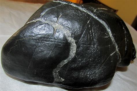 Carbonado Black Diamond Meteorite | My specimen weighs 3,902… | Flickr