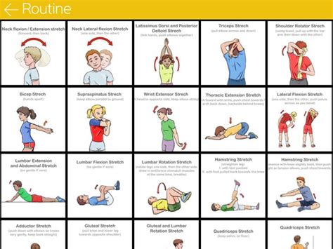 Stretch It | Stretching, Warm Up & Cool Down Task Cards | Exercise for ...