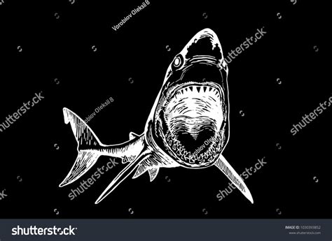 128 Bull Shark Tattoo Images, Stock Photos & Vectors | Shutterstock