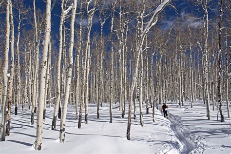 Salt Lake City Inversion Survival Kit - Outdoor Project