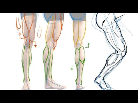 How To Draw Muscular Female Legs - img-Aaralyn