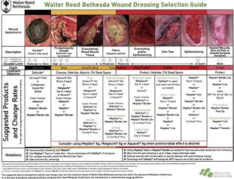 Wound Management and Nutrition for Optimal Wound Healing - Atlas of the Oral and Maxillofacial ...