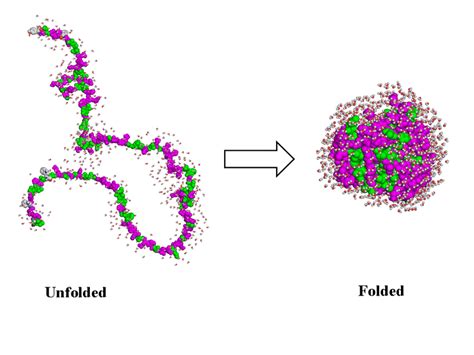 Protein folding: from primary to tertiary structure [12]. | Download ...