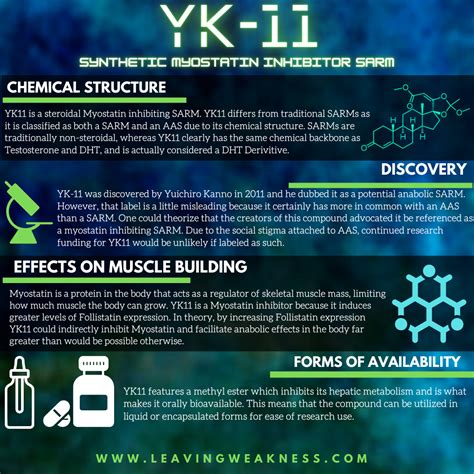 Yk11 Review: Myostatin Inhibitor Sarm - LEAVINGWEAKNESS