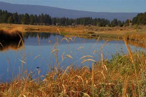 (SOLD) 4.09 Acres For Sale Sprague River Oregon - Christmas Valley Realty