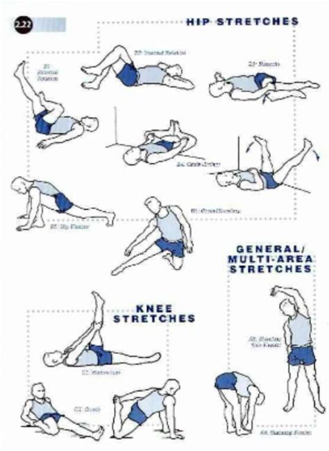 Hip Stretches | Best hip stretches, Hip stretches, Knee exercises