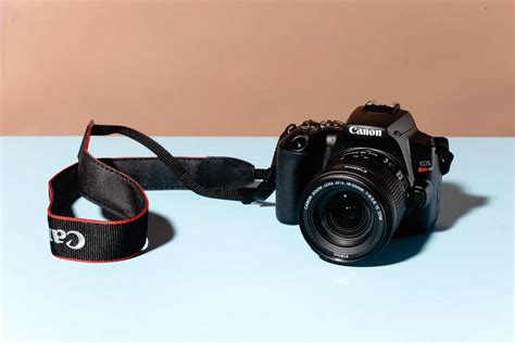 What Are the Features of The Best-Selling Beginner DSLR Cameras? 2024 - NoKishiTa Camera