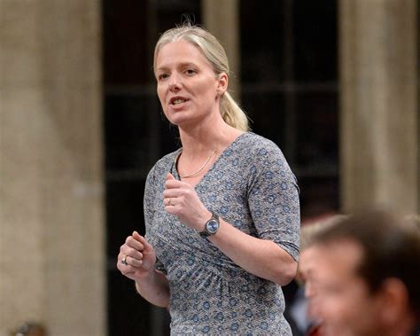 Critics say McKenna's budget videos may cross the line into self-promotion | CTV News