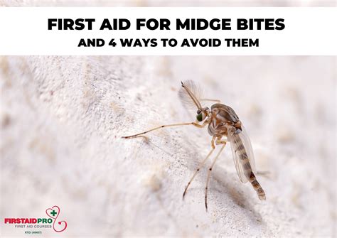 First Aid for Midge Bites - FirstAidPro