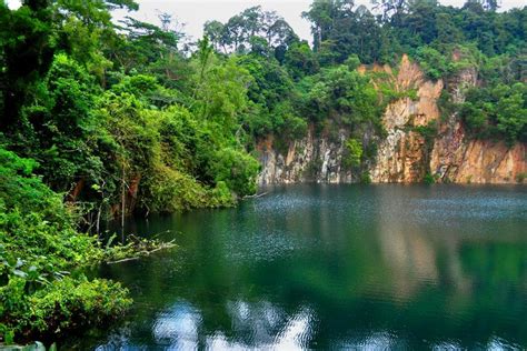 The Bukit Timah nature reserve - Singapore