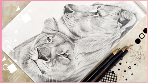 Drawing a realistic lion and a lioness with graphite pencils | speed drawing | - YouTube