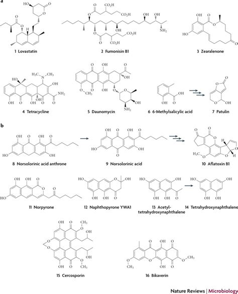 Representative polyketides.a | Bioactive polyketides from bacterial and... | Download Scientific ...