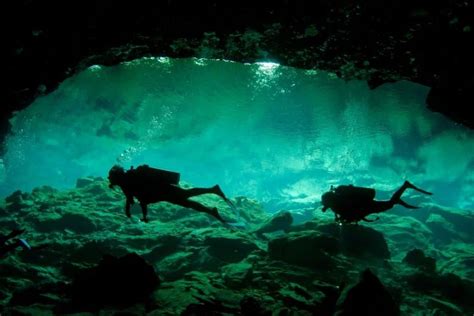 Diving In The Cenotes (Ultimate Guide) - DivingCorner