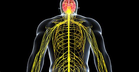 Peripheral Neuropathy - New Iberia, LA - Orthopedic Surgery - Wm. André ...