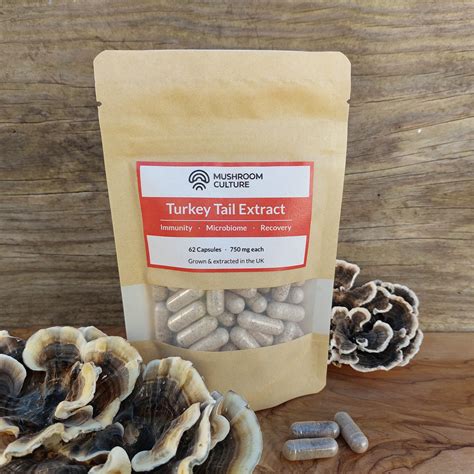 Health Benefits of Turkey Tail Mushrooms — Mushroom Culture