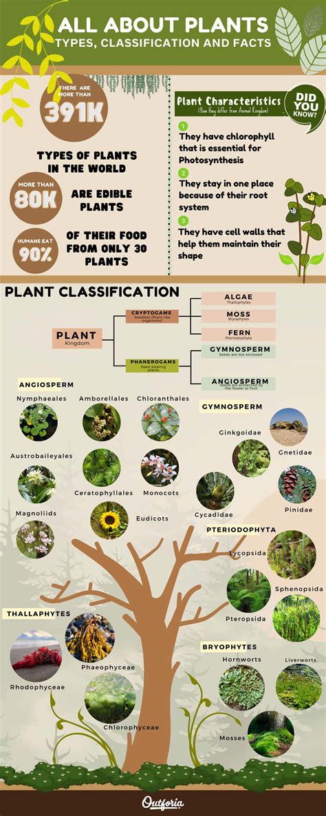 15+ plants with r names - JanuaryWesley