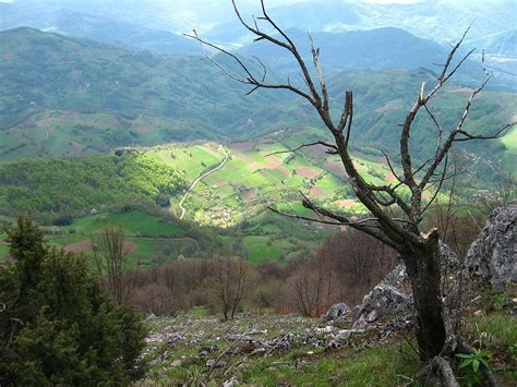 The mythical vampire Sava Savanović supposedly lived in Serbia. When the city of Valjevo ...