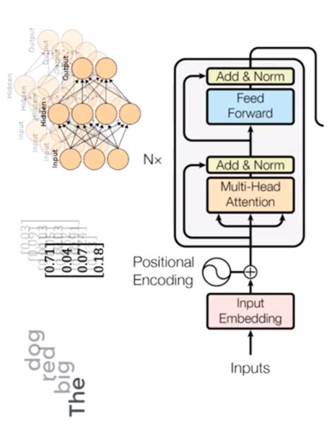 Transformer Neural Networks: A Step-by-Step Breakdown | Built In