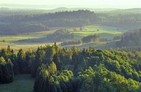 Latvia's forest landscape | Latvia | Pinterest