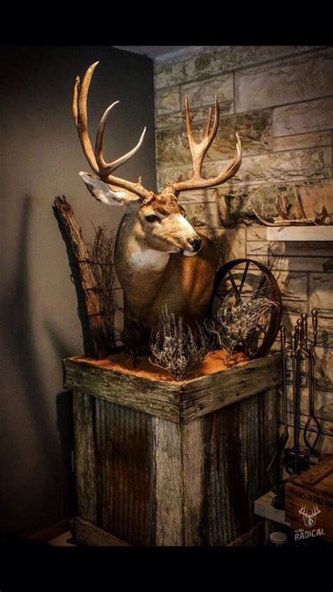 Muley. That habitat base is amazing. | Deer hunting decor, Deer mount decor, Deer antler decor