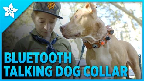 New Tutorial! Phone-Activated Talking Dog Collar #WearableWednesday « Adafruit Industries ...