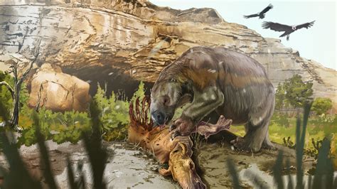 Giant ground sloths may have been meat-eating scavengers | Science News