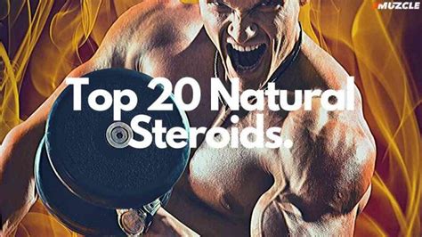 Best 30 Natural Steroids Supplements and Foods (Updated 2021) | Muscle ...