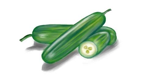 Drawing of Cucumber by Jan - Drawize Gallery!