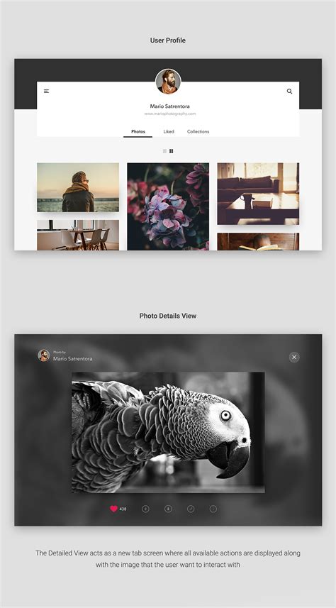 Unsplash - Redesign on Behance