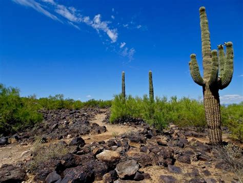 Best desert hikes in Phoenix: Trails for fall, winter spring