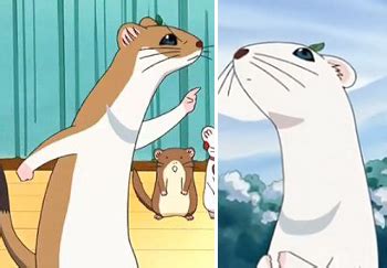 Our Top 20 Characters – Genuine Mustelids