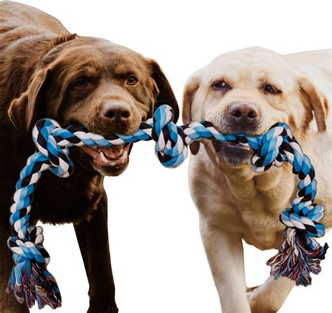 The Best Dog Rope Toy Reviews | Pet Toy UK (2021)