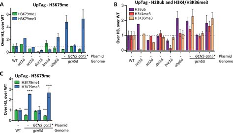 Figures and data in Direct screening for chromatin status on DNA barcodes in yeast delineates ...