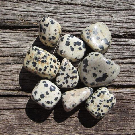 Dalmatian Stone Meaning and Benefits, Healing. - My CrystalAura