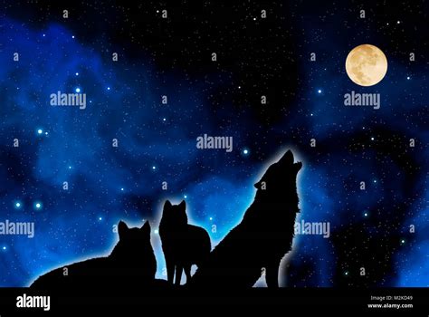 Howling at the moon hi-res stock photography and images - Alamy