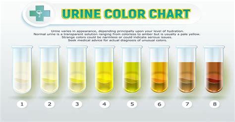 hope dog rescue the colour of pee - colors of urine chart printable ...