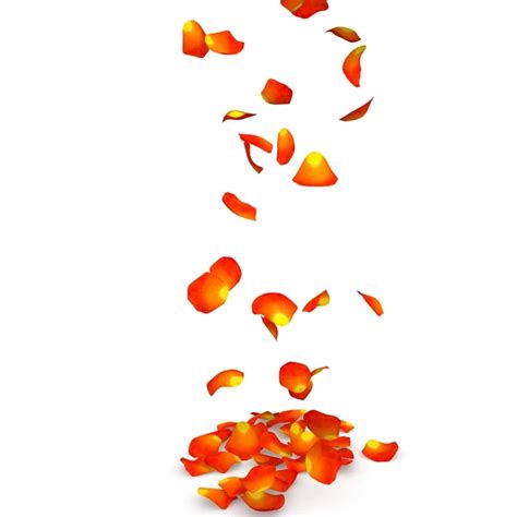 Orange rose petals flying on the floor — Stock Photo © injenerker #119593060