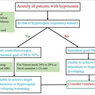 (PDF) Oxygen-induced hypercapnia: physiological mechanisms and clinical implications