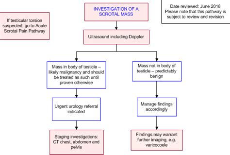 Scrotal Mass
