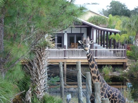 Brevard Zoo | Wedding Venues & Vendors | Wedding Mapper