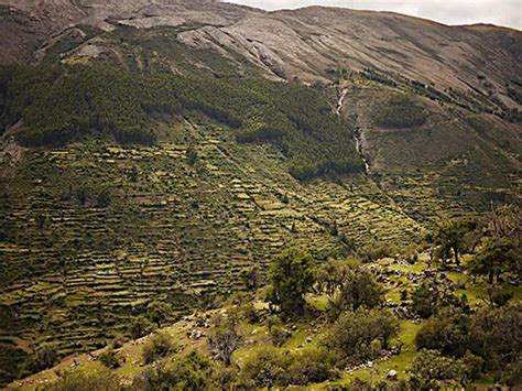 Inca Terrace Farming And Aztec Floating Gardens - Burton Wintralmor