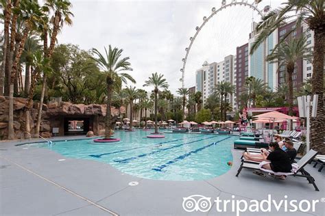 Flamingo Las Vegas Pool: Pictures & Reviews - Tripadvisor