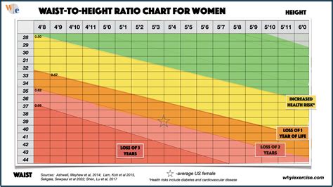 waist to height ratio chart Height to waist ratio calculator