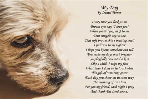 15 Best Dog Poems Love Unconditional | Dog Loyalty Poems